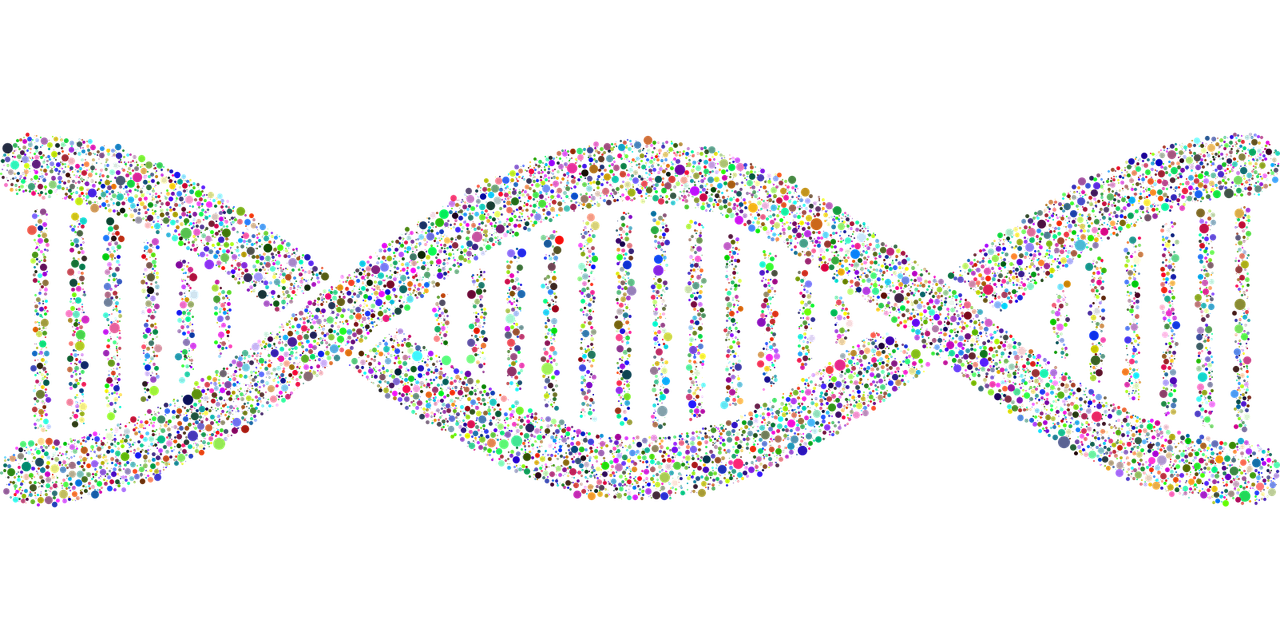 dna, helix, circles-4043148.jpg